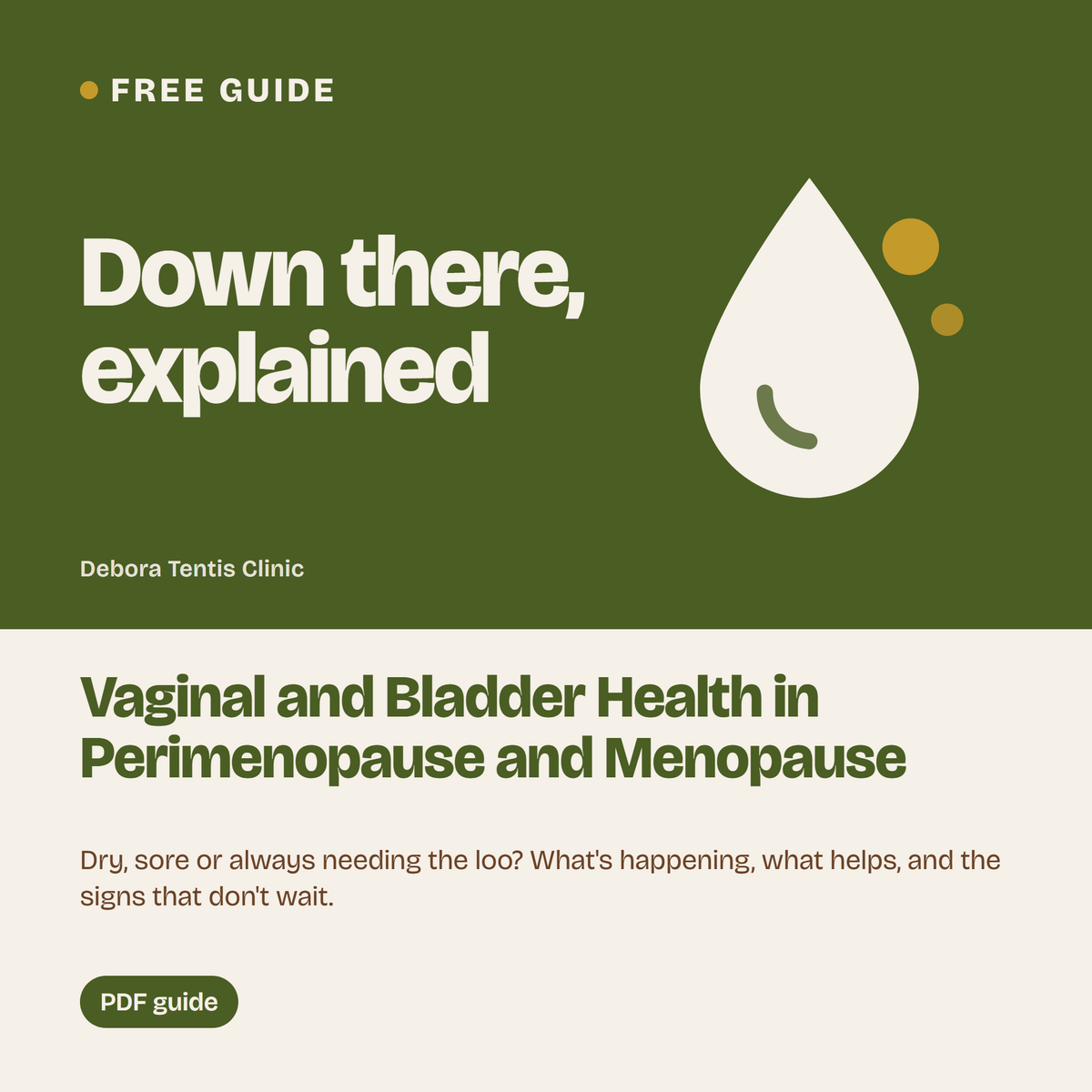 Vaginal and Bladder Health in Perimenopause and Menopause, free PDF guide from Debora Tentis Clinic