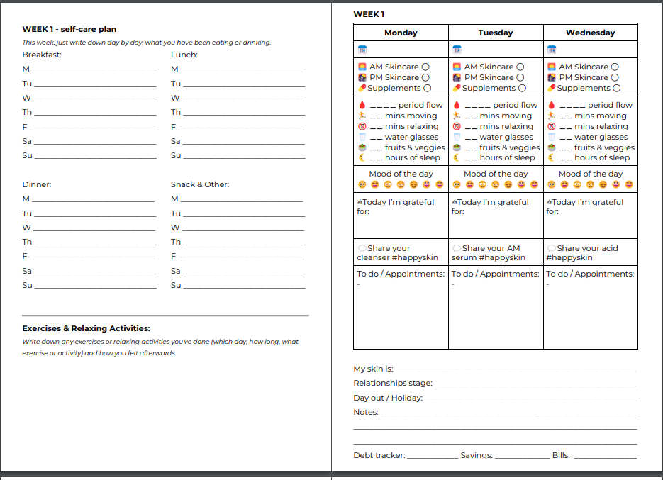 Skin and Life planner weekly lifestyle routine pages